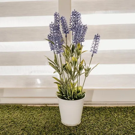 Апартаменты A Da Mina Nai Ла-Корунья