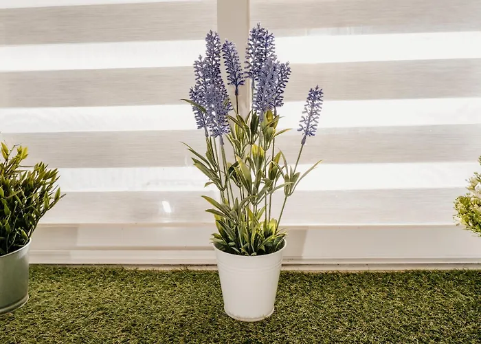 Apartamento A Da Miña Nai A Coruña